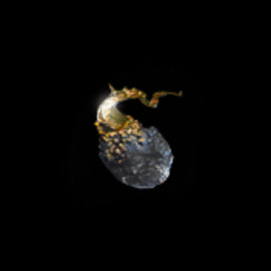 Orb of Alchemy
