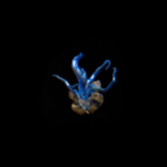 Orb of Transmutation