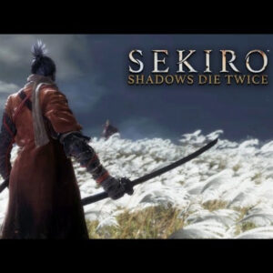 Sekiro: Shadows Die Twice Steam Offline ★