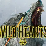 WILD HEARTS