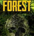 The Forest