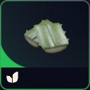 x1 Agave