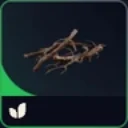 x1 Roots