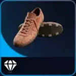 x1 Colorful Shoes(Rare)