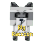 Big Raccoon