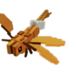 Rainbow Golden Dragonfly