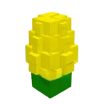 Corn Seed