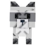 Raccoon
